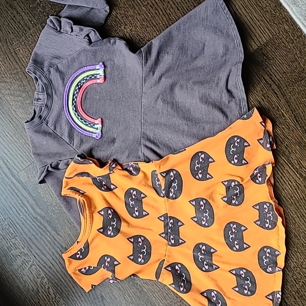 Bundle 2× Cat & Jack, size 4T dresses